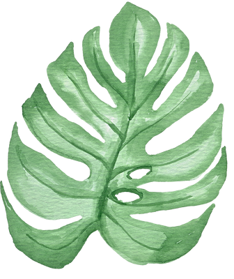 Watercolor Green Tropical Monstera Leaf